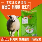 微生态预混剂-羊微生态饲料 羊预混剂 羊饲料添加剂 提高瘦肉率 补充能量