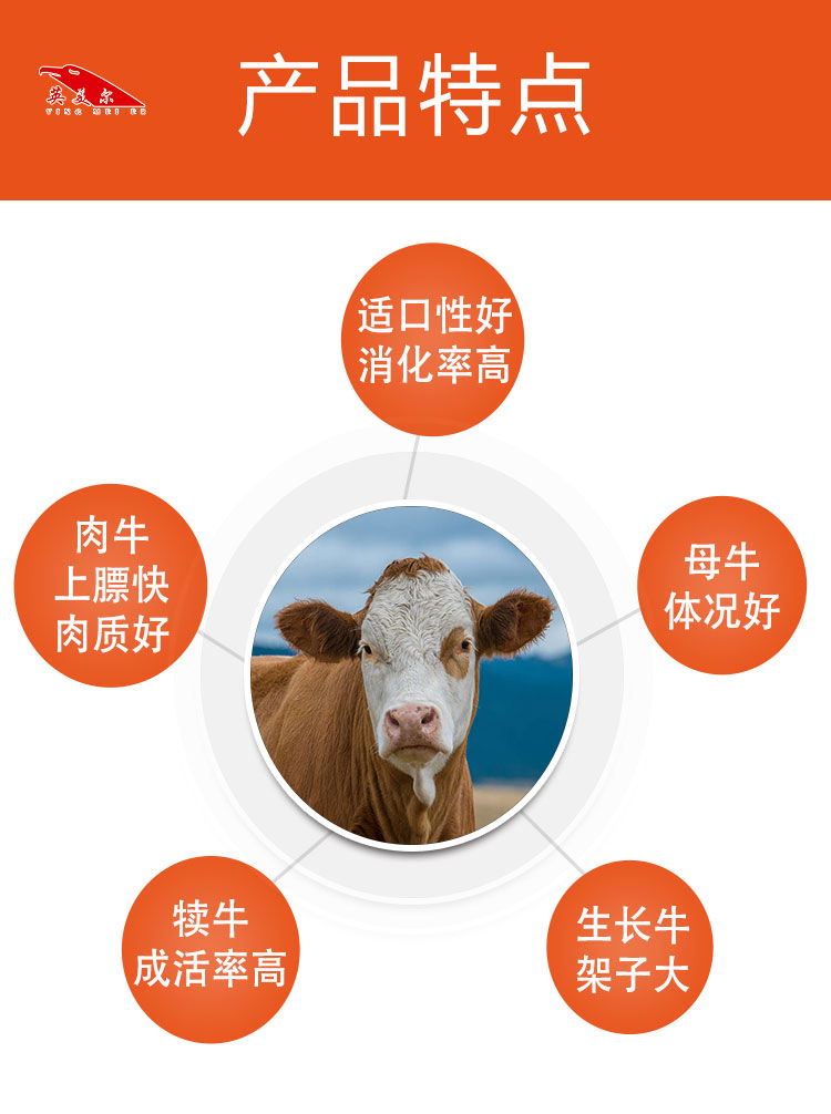 英美尔全体员工参观生产车间2
