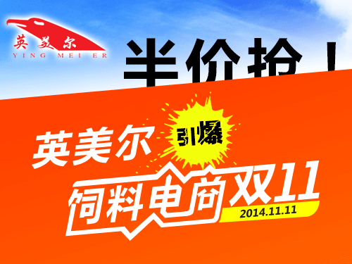 英美尔引爆电商双11