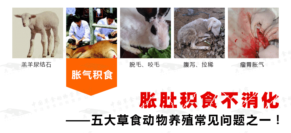 英美尔草食消1