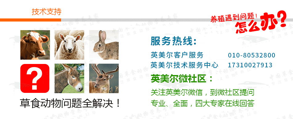 英美尔草食消10