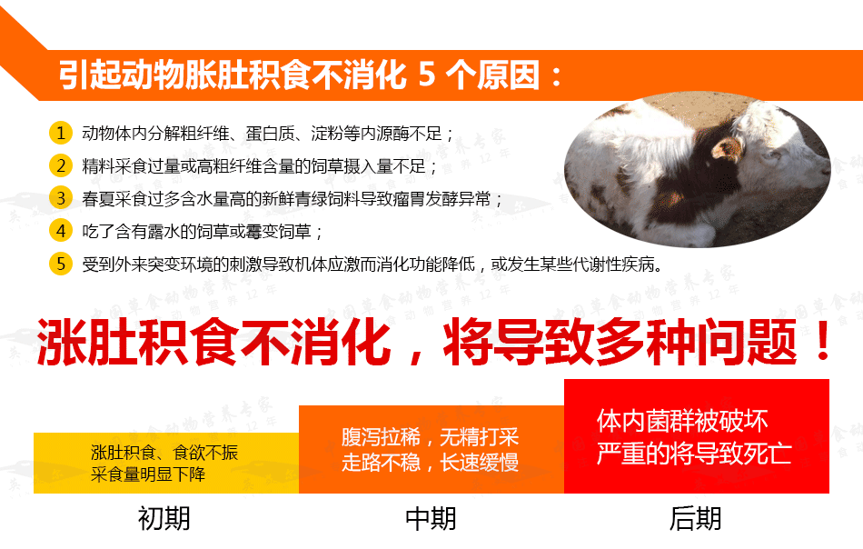 英美尔草食消2