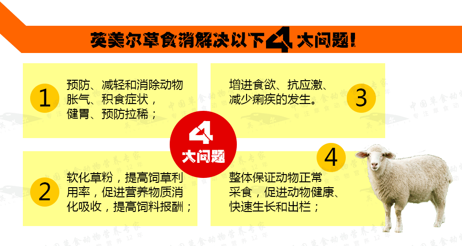 英美尔草食消4