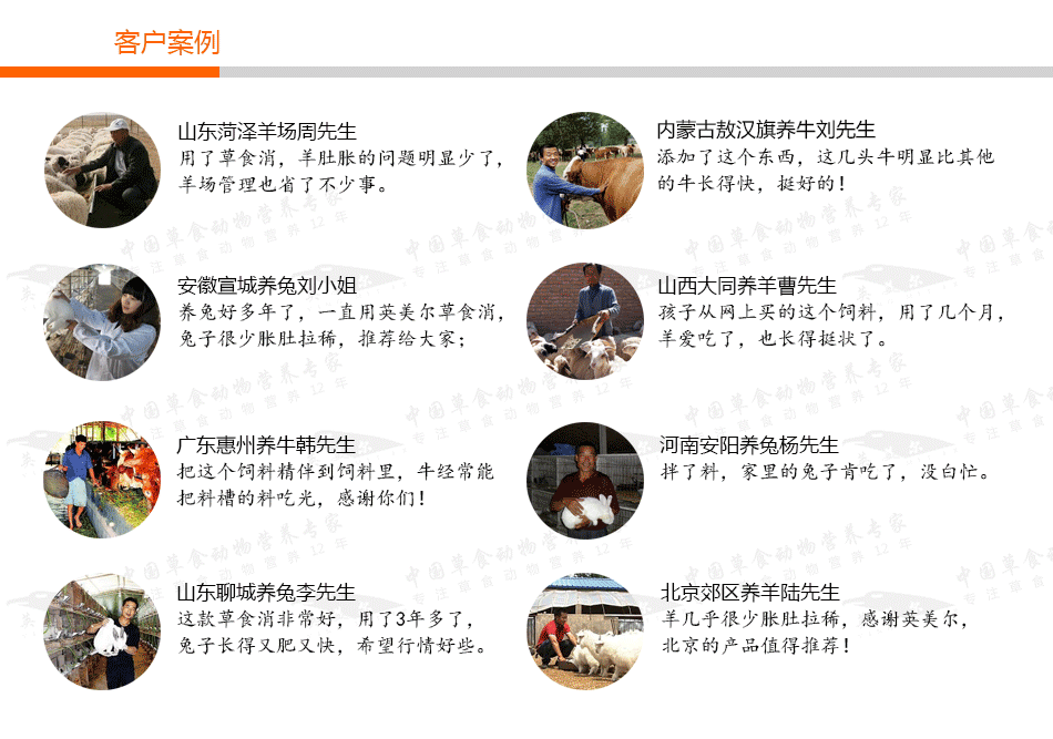 英美尔草食消7
