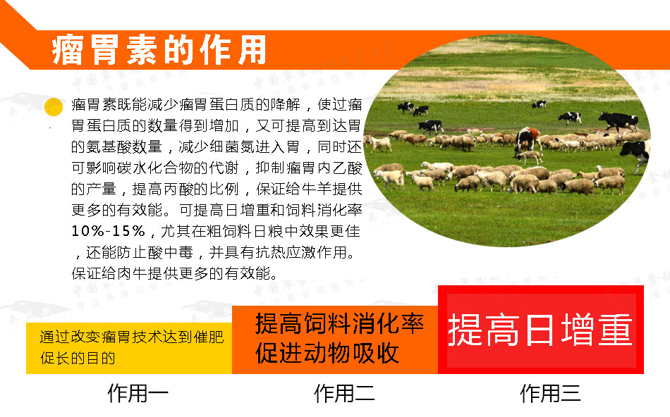 瘤胃速,增肥增重添加剂,英美尔,促生长添加剂