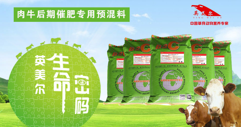 英美尔牛生命密码,增肥增重添加剂