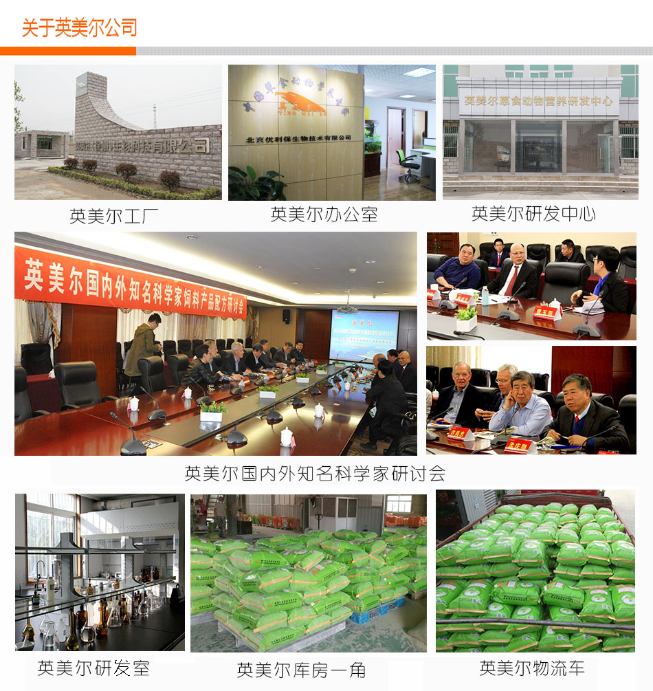 英美尔牛生命密码 /></td>
  </tr>
</table>
<table width=
