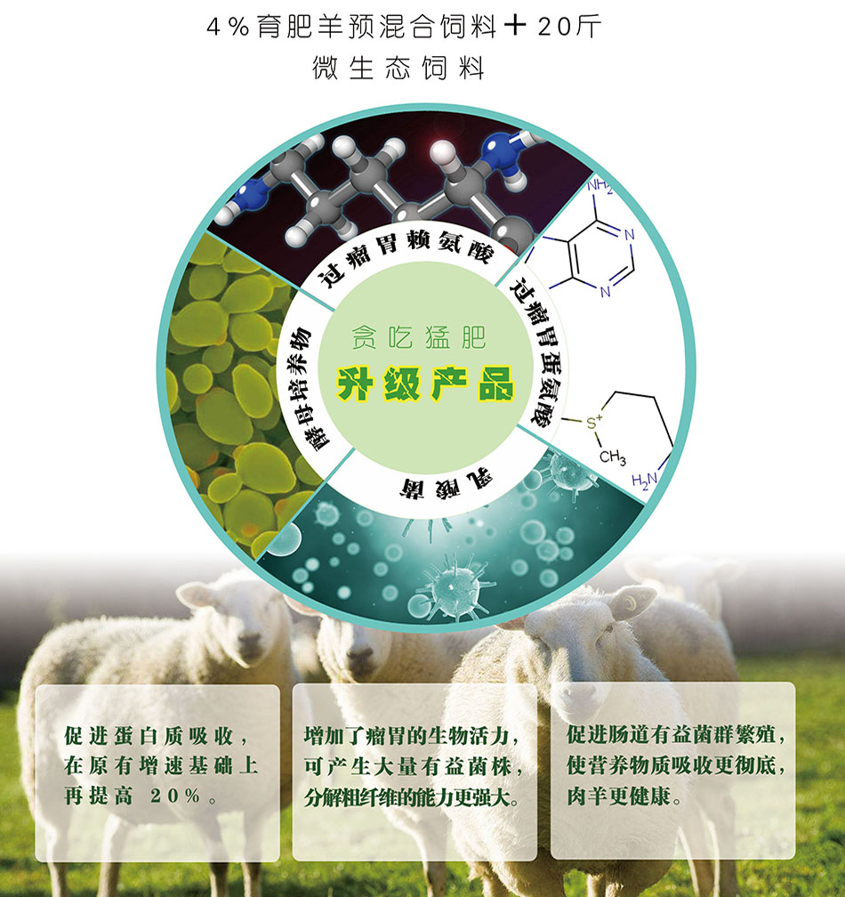 英美尔牛生命密,牛羊催肥剂,增肥增重添加剂