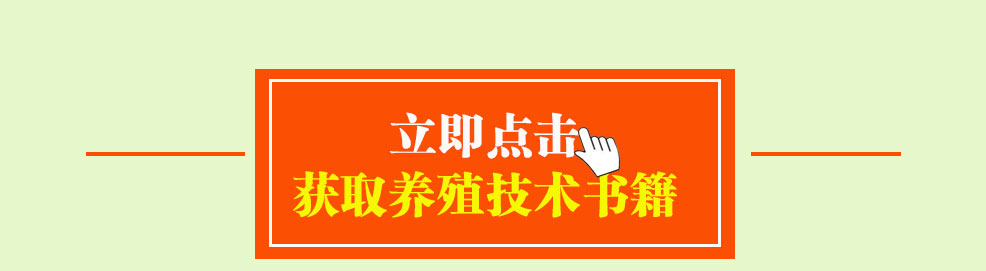 英美尔草食消3